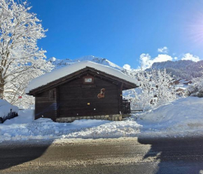 Le Petit Chalet du Chinaillon
